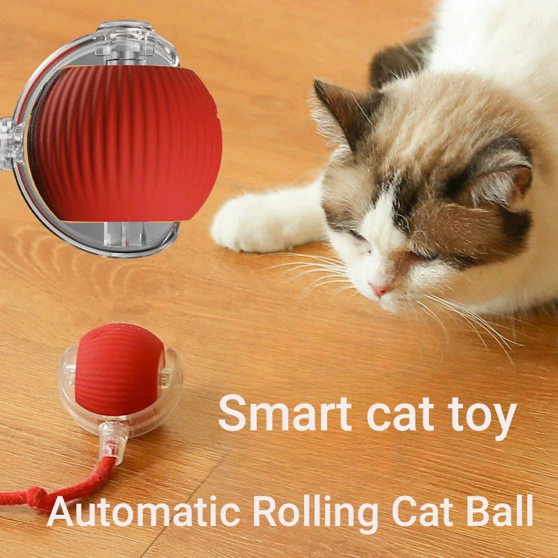 CatPlay Smart Rolling Ball