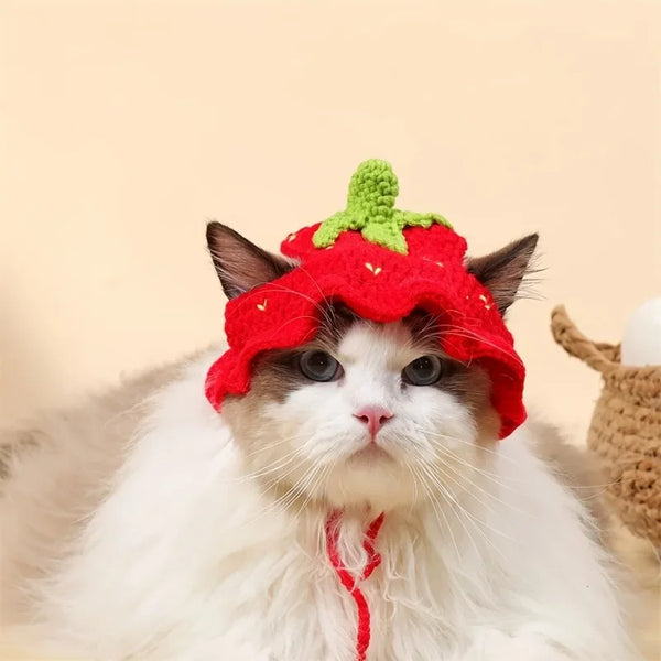 Fancy Pet Portrait Hat