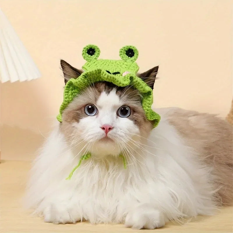 Fancy Pet Portrait Hat
