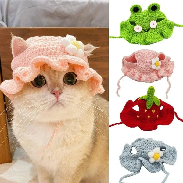 Fancy Pet Portrait Hat