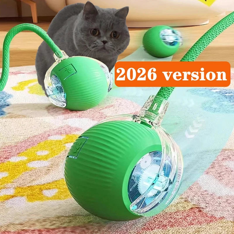 CatPlay Smart Rolling Ball