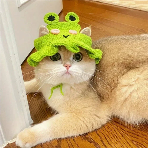 Fancy Pet Portrait Hat