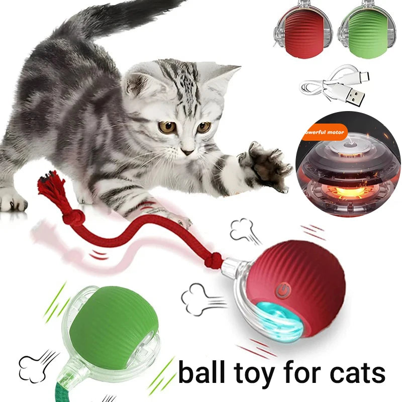 CatPlay Smart Rolling Ball