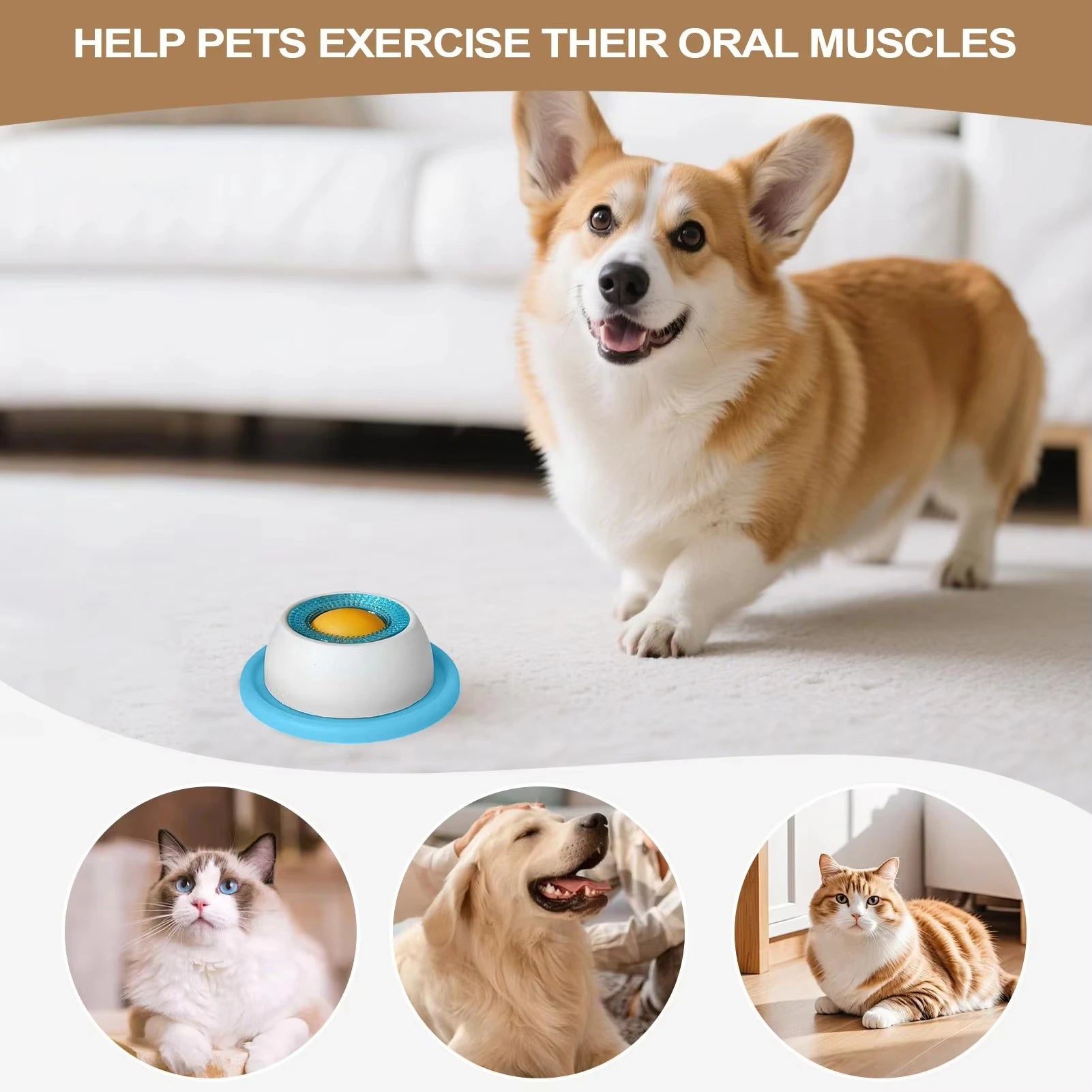 Rover's Smart Treat Puzzle Trainer