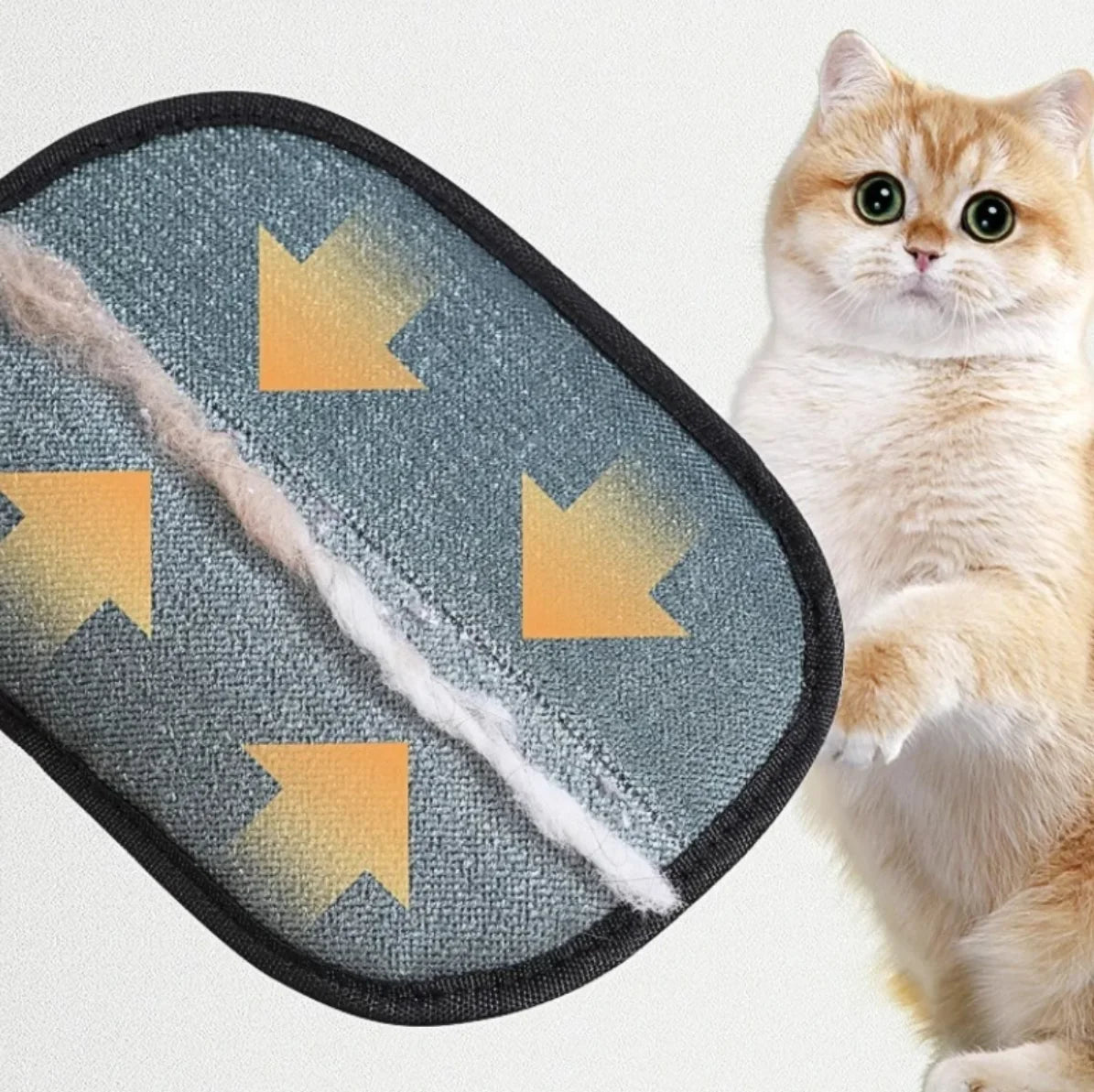 Pro Grooming Pet Hair Glove