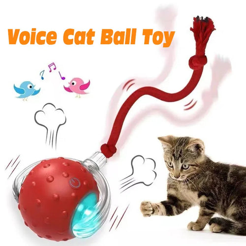CatPlay Smart Rolling Ball