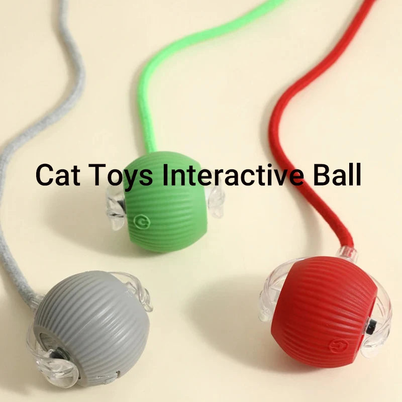 CatPlay Smart Rolling Ball