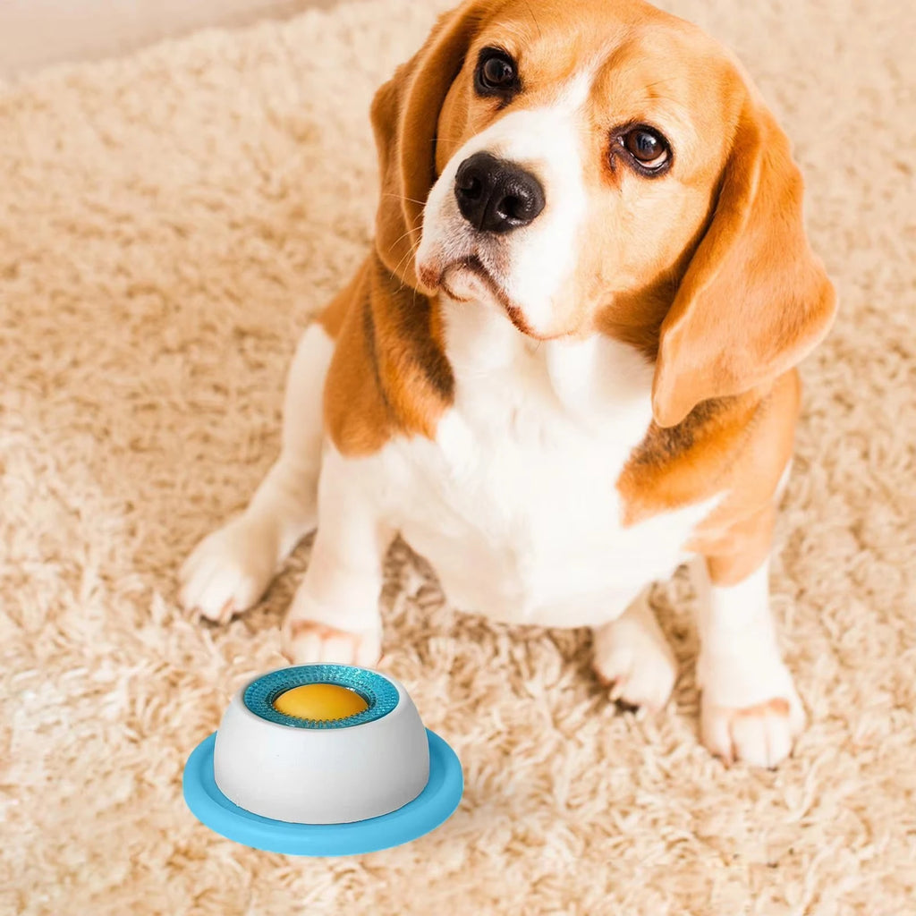 Rover's Smart Treat Puzzle Trainer