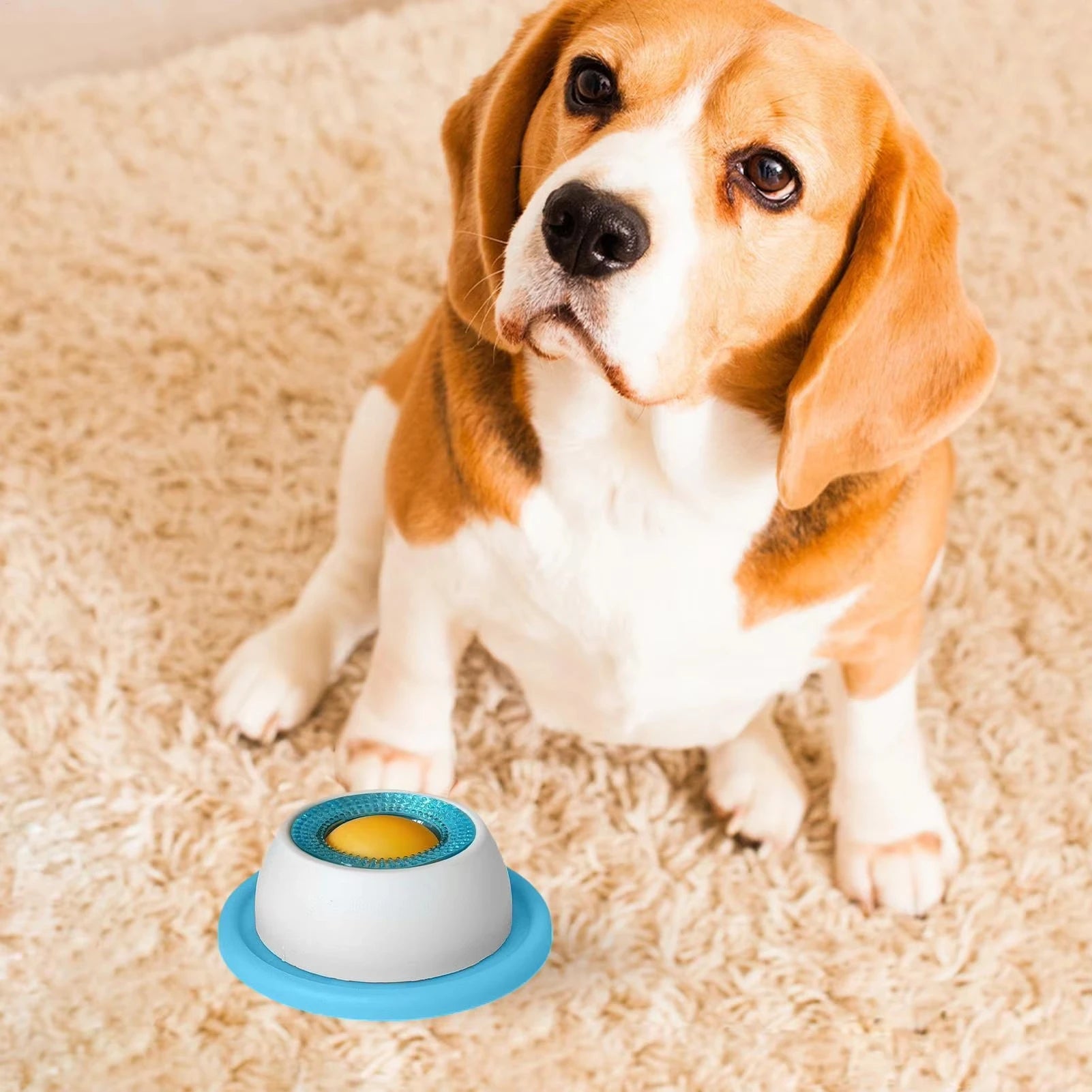 Rover's Smart Treat Puzzle Trainer